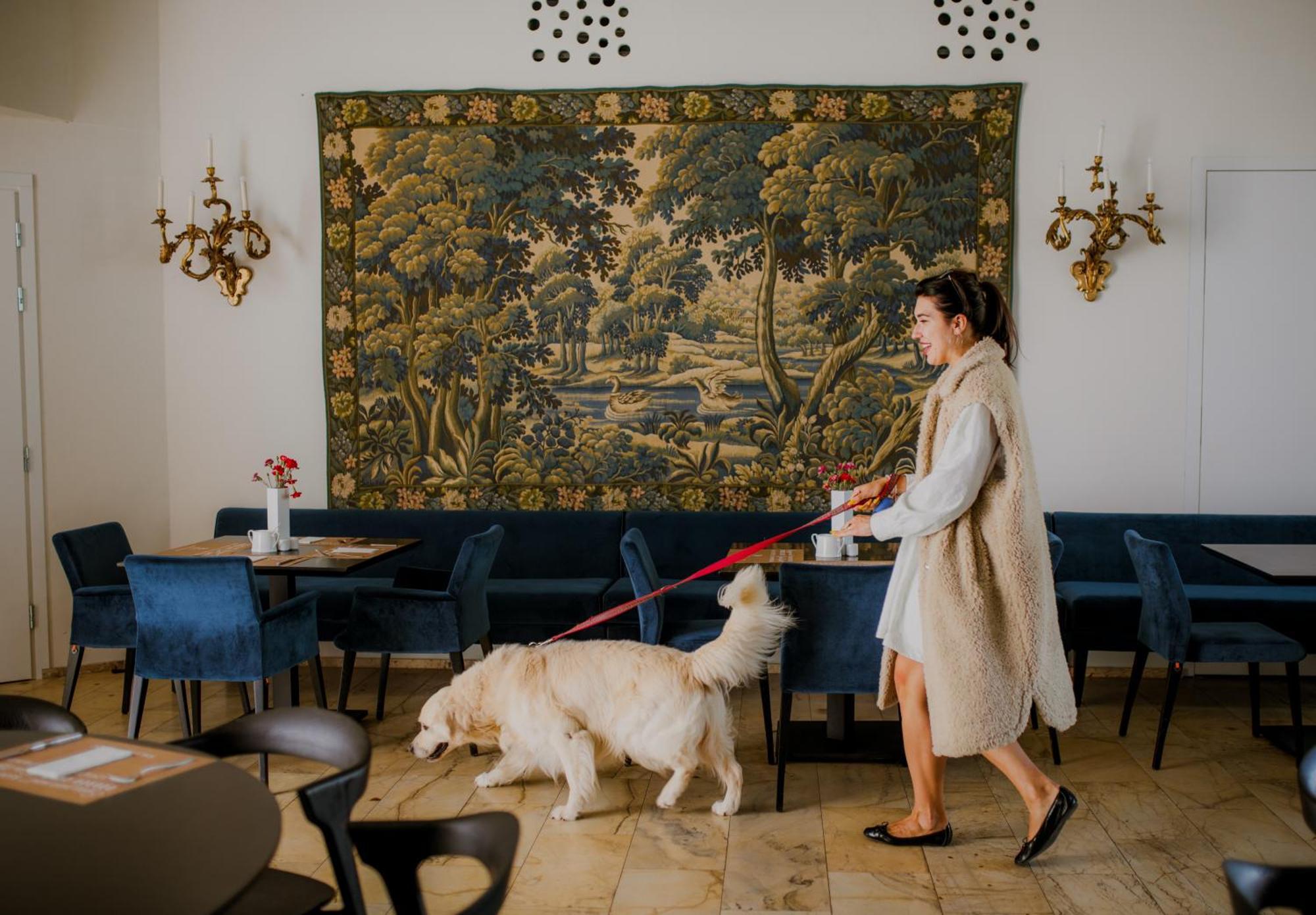 Palac Pakoszow Schlosshotel Wernersdorf Jelenia Góra Εξωτερικό φωτογραφία The interior of the restaurant